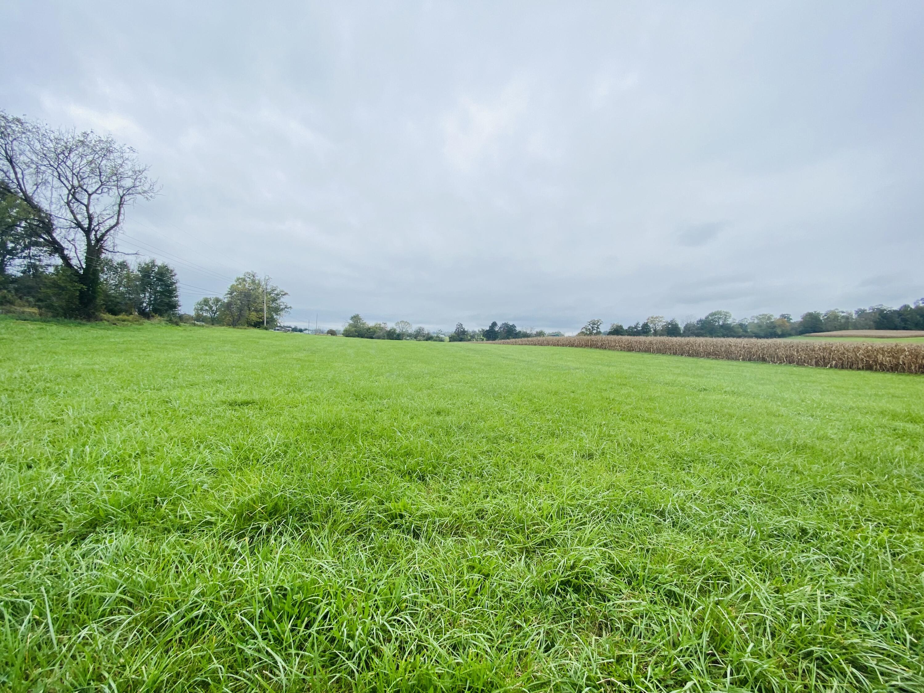 Tbd Flatwoods Road Rose Hill, VA 24281 - Photo 4 of 16 8AAF8B16-6E6F-486D-92EF-E7FA42DF9BDE