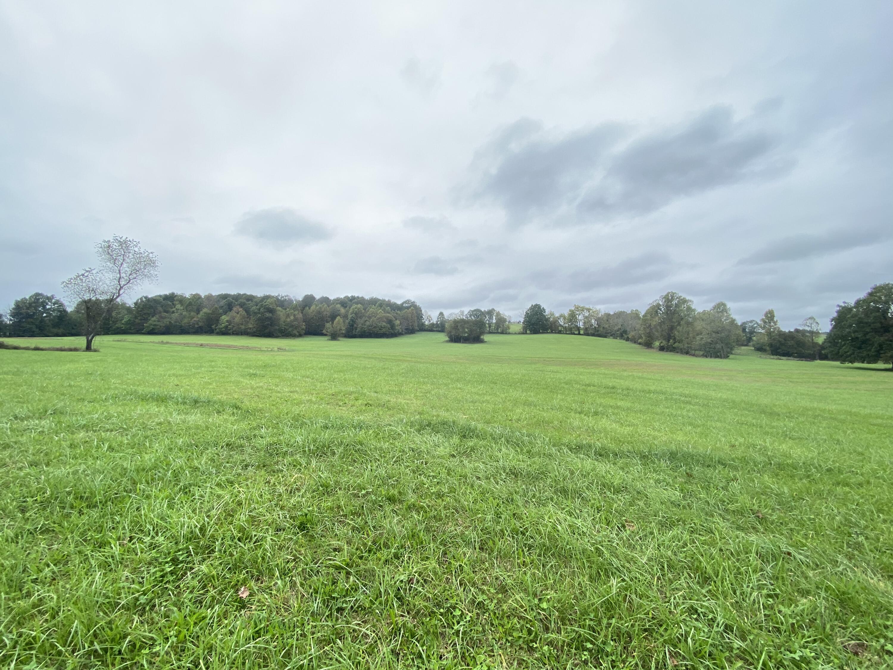 Tbd Flatwoods Road Rose Hill, VA 24281 - Photo 5 of 16 86C9E47B-E5CD-42AA-AC65-0914FADF48B1