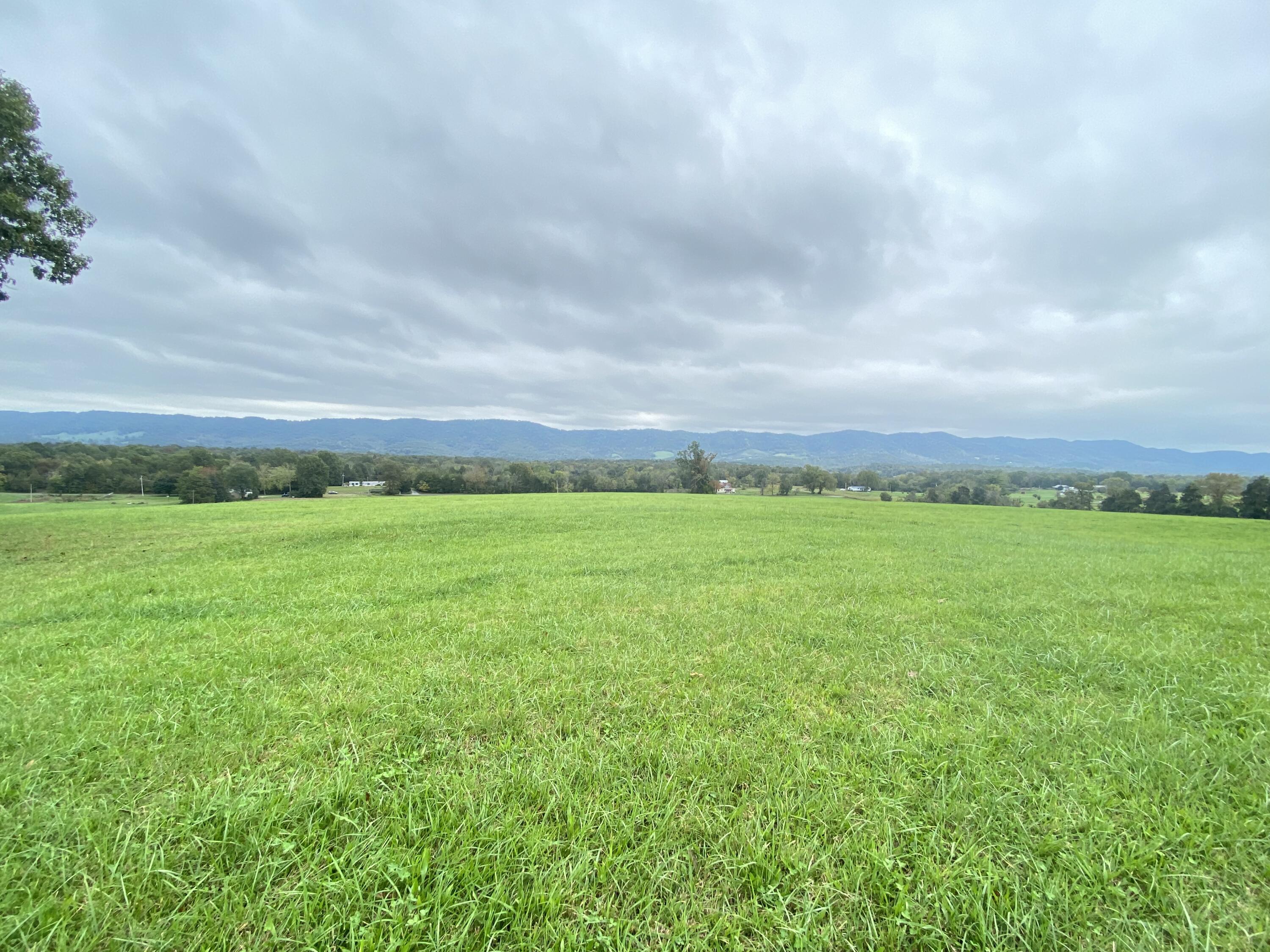 Tbd Flatwoods Road Rose Hill, VA 24281 - Photo 7 of 16 7EF9716B-1324-4419-A967-BECBBB32CE0A