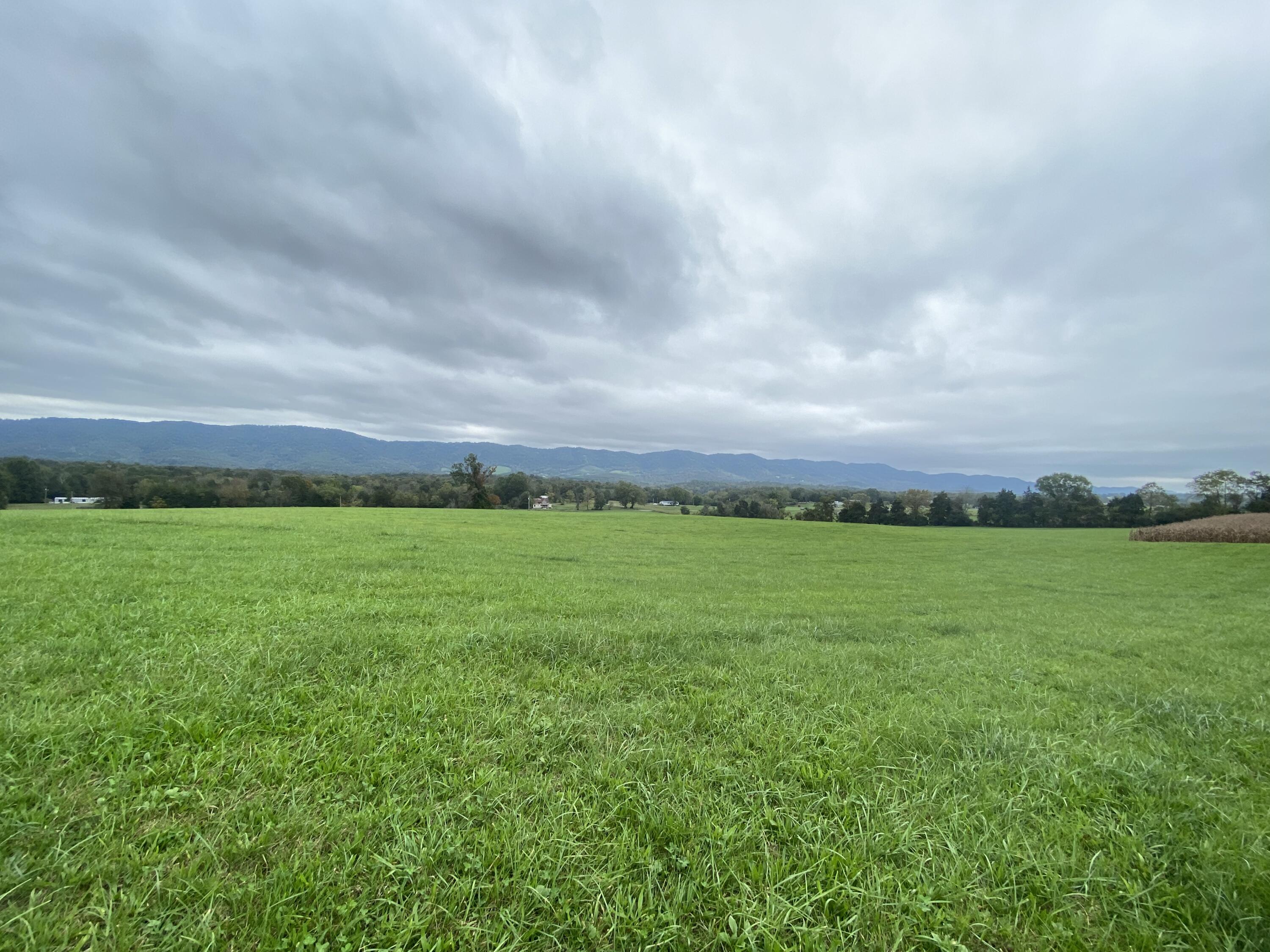 Tbd Flatwoods Road Rose Hill, VA 24281 - Photo 8 of 16 D83FC30B-8EBD-4B87-904B-2B7CF712DA84