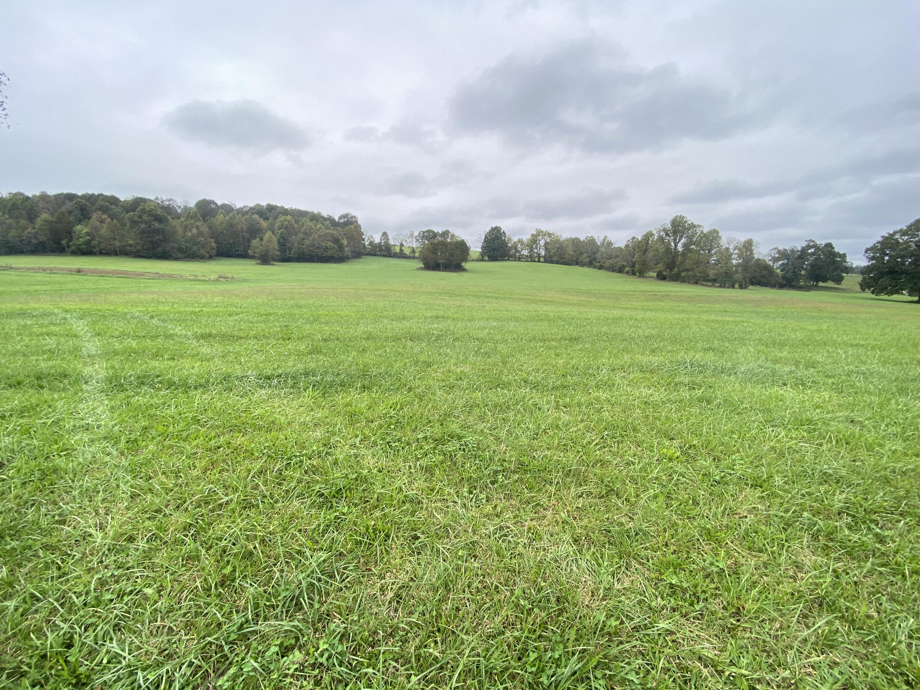 Tbd Flatwoods Road Rose Hill, VA 24281 - Photo 9 of 16 08B22C81-0448-4954-913D-58D14E6F76BB