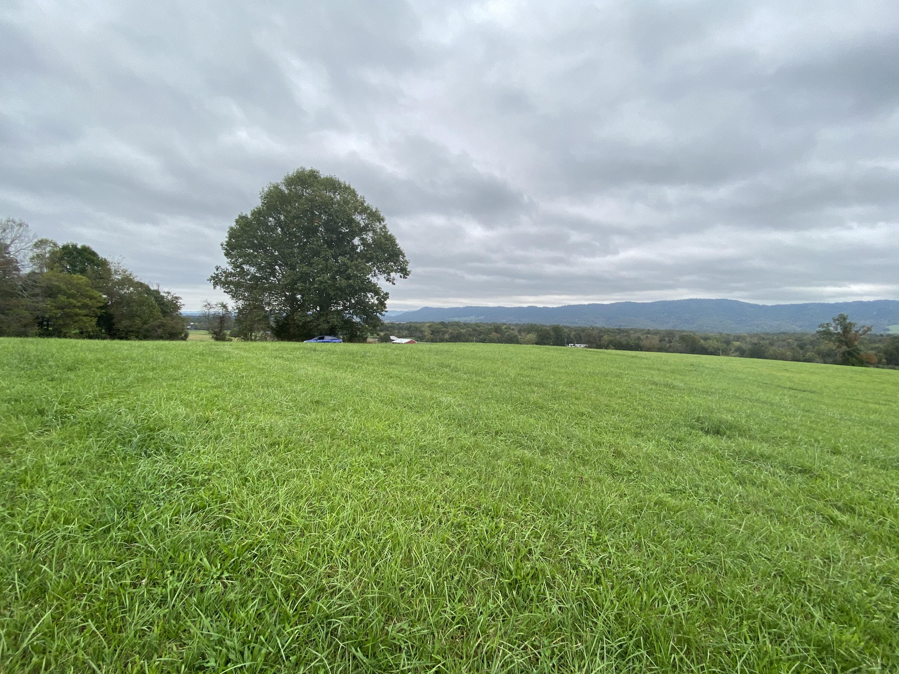 Tbd Flatwoods Road Rose Hill, VA 24281 - Photo 10 of 16 3FA695FF-0127-4E4A-B808-1C8119BAF5B1