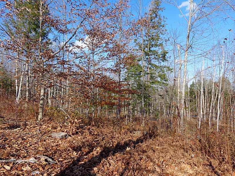 167 Elm Street Limerick, ME 04048 - Photo 20 of 23 Land.