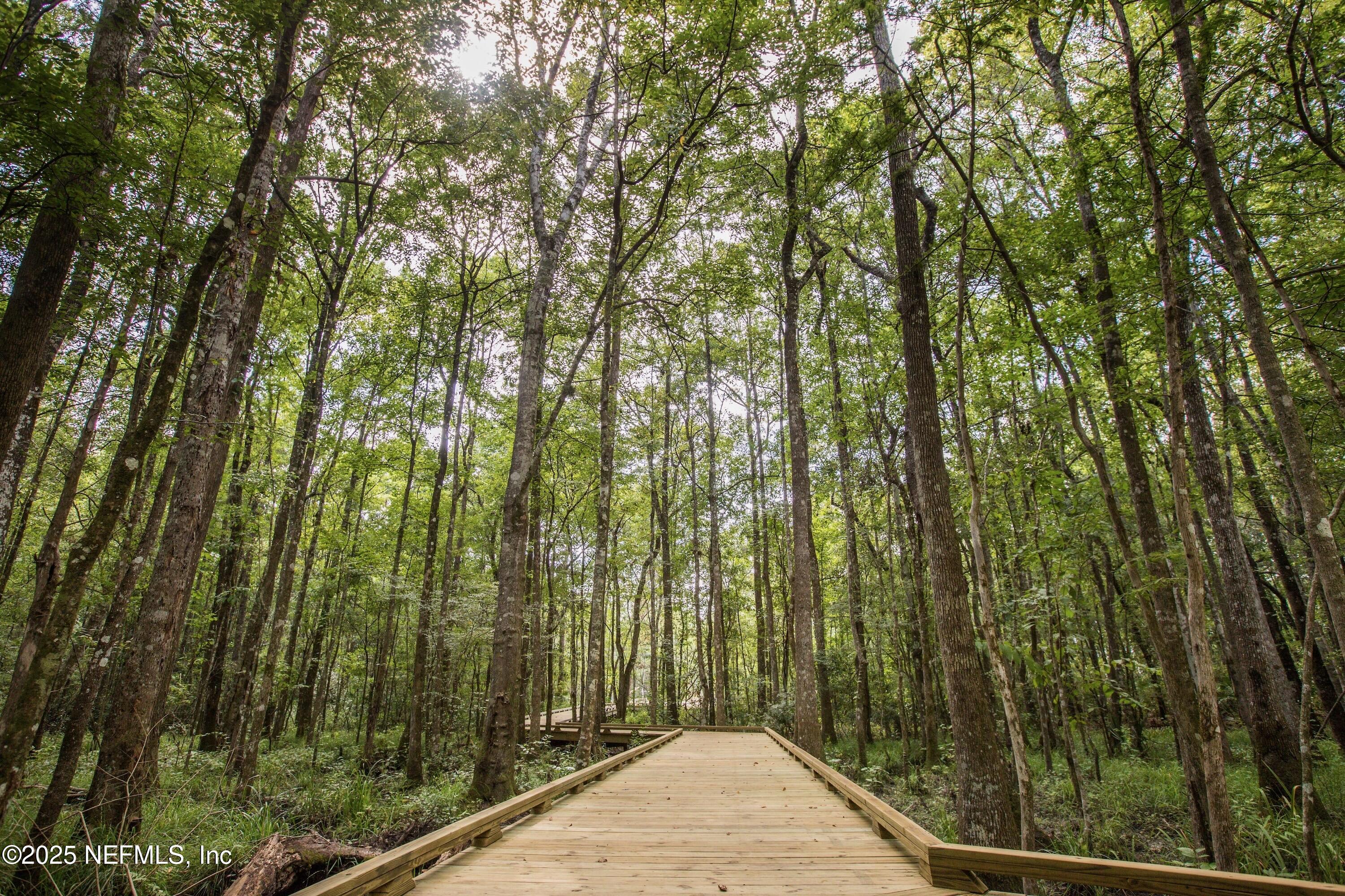 517 Kingbird Drive St. Augustine, FL 32092 - Photo 23 of 59 Shearwater_Pic_Amenity_Dock_00005