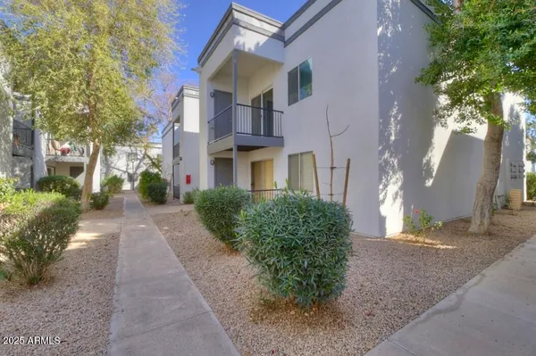 a view of a street with potted plants and a large tree