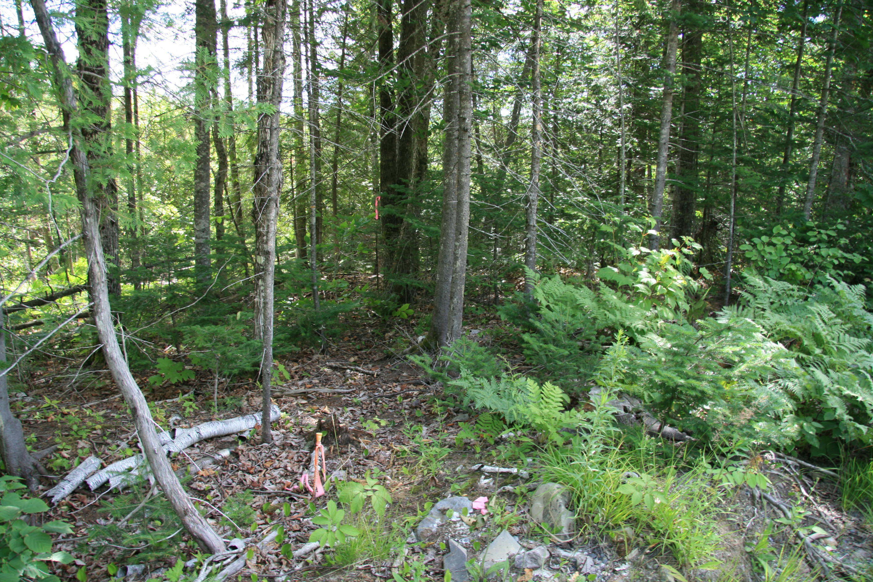 19 Indian Point Loop Monson, ME 04464 - Photo 20 of 34 IMG_8129