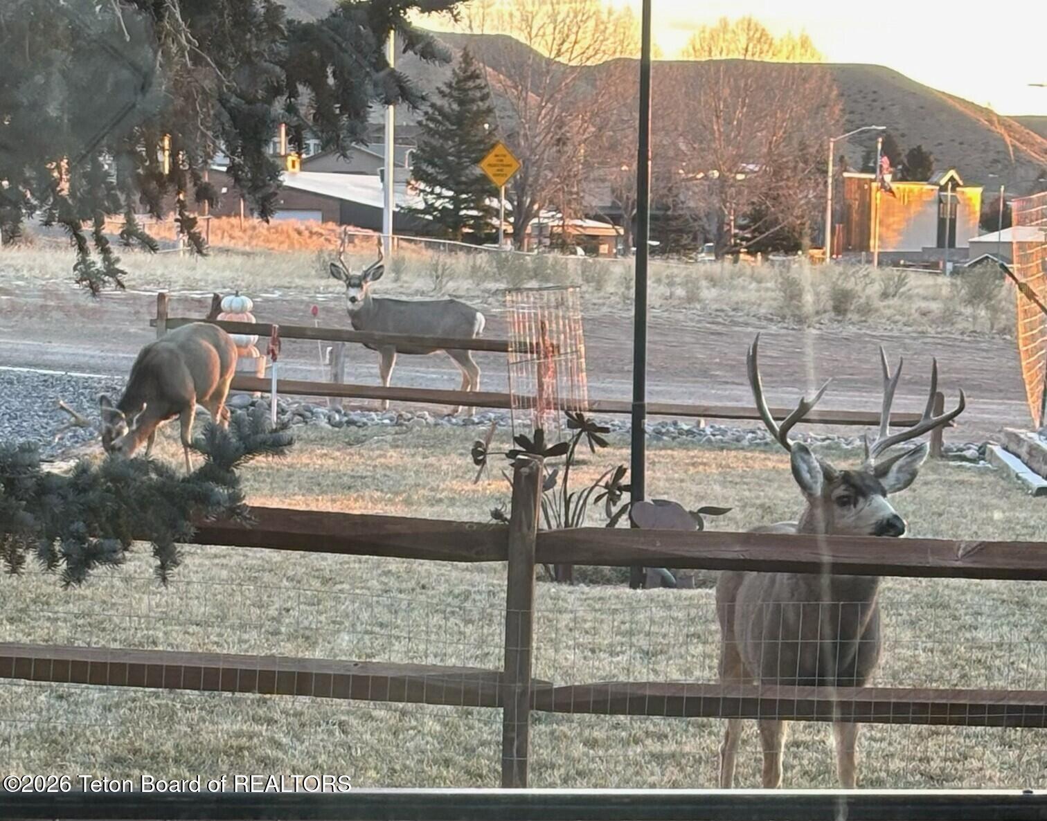 2 Fremont Street Dubois, WY 82513 - Photo 32 of 34 FullSizeRender
