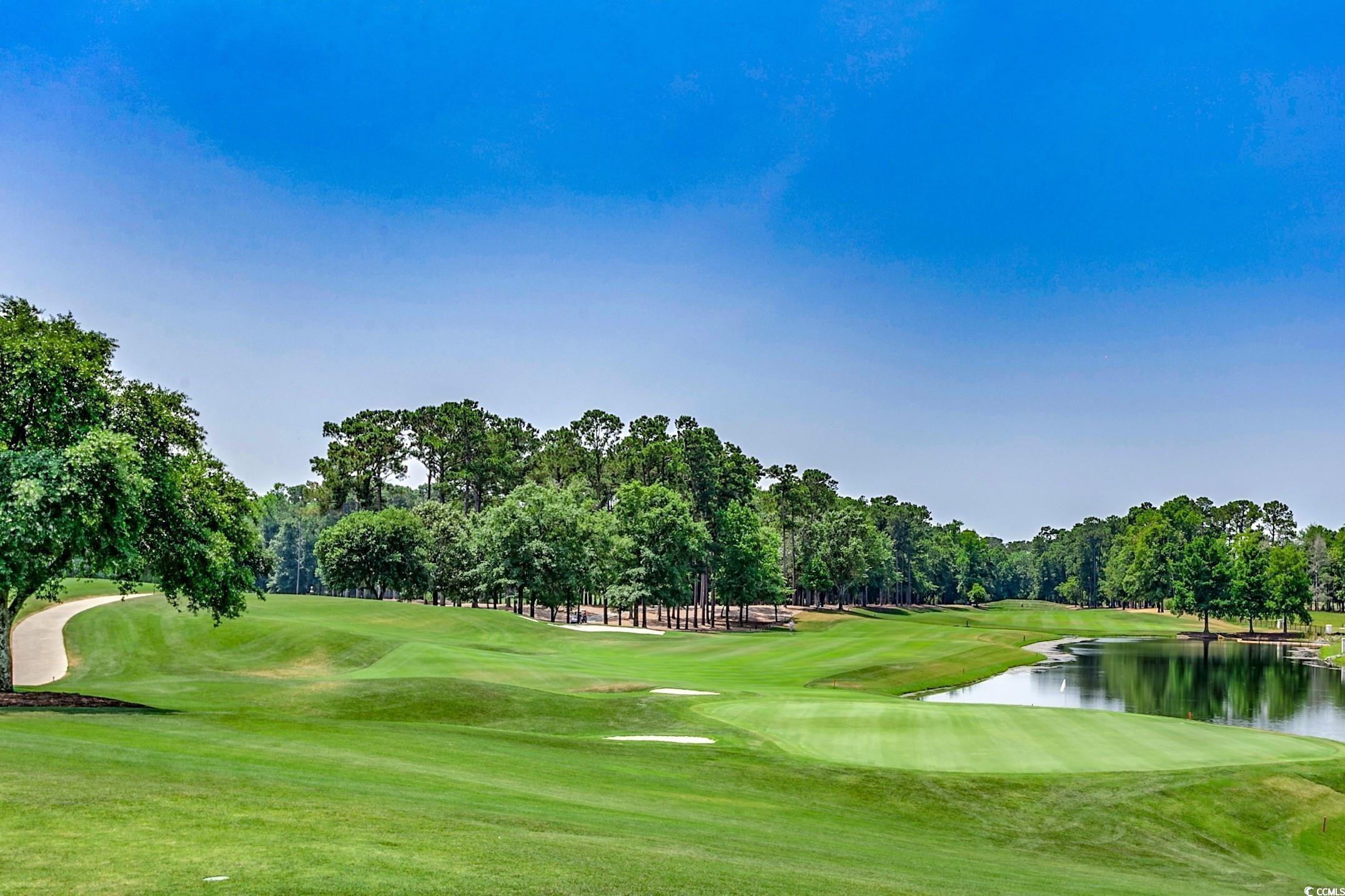 335 Kapalua Loop Little River, SC 29566 - Photo 37 of 40