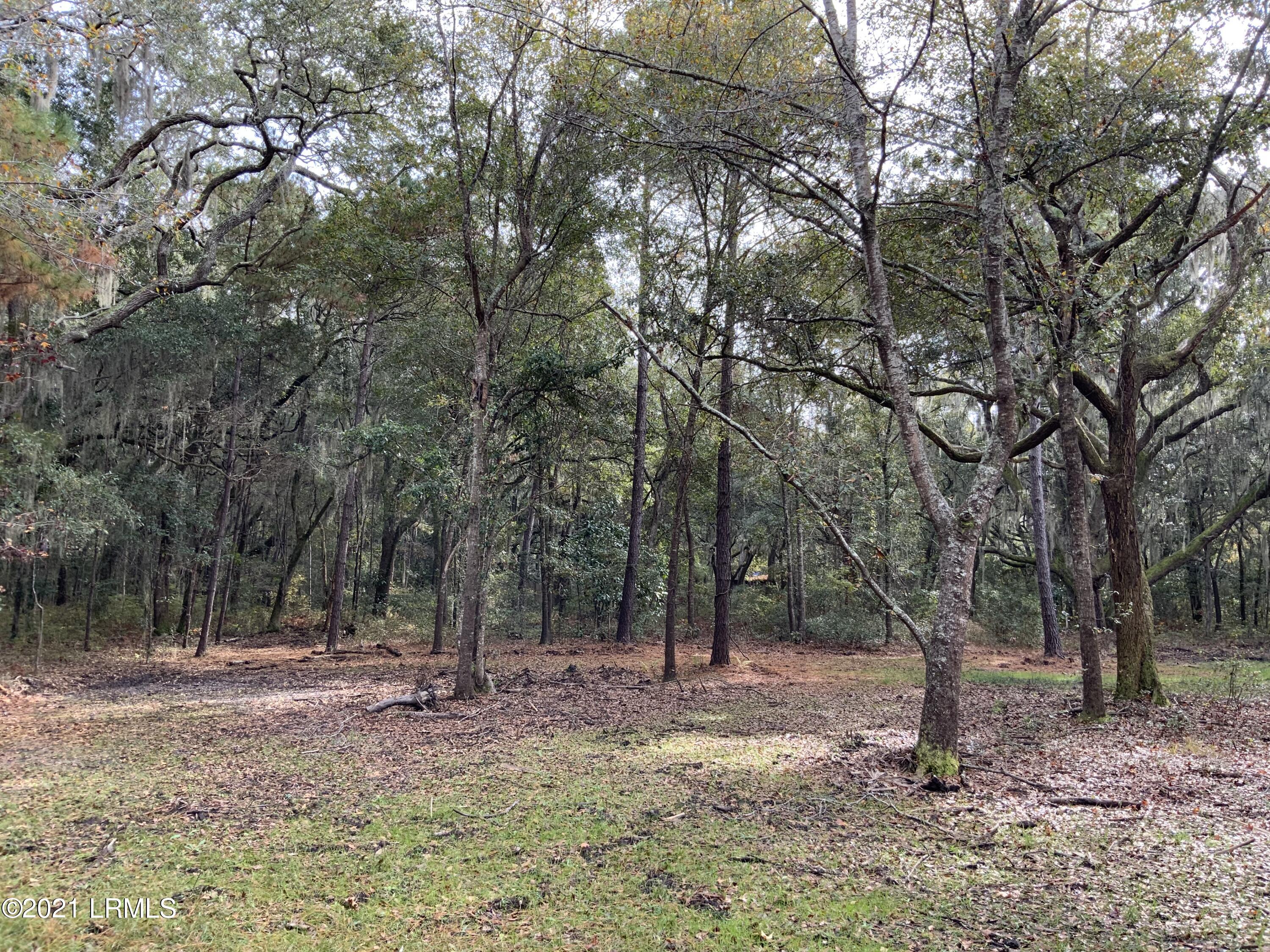 96 Coffin Point Road St. Helena Island, SC 29920 - Photo 11 of 12 E1A4574D-923B-4B44-8CE5-2DC242F7CF29