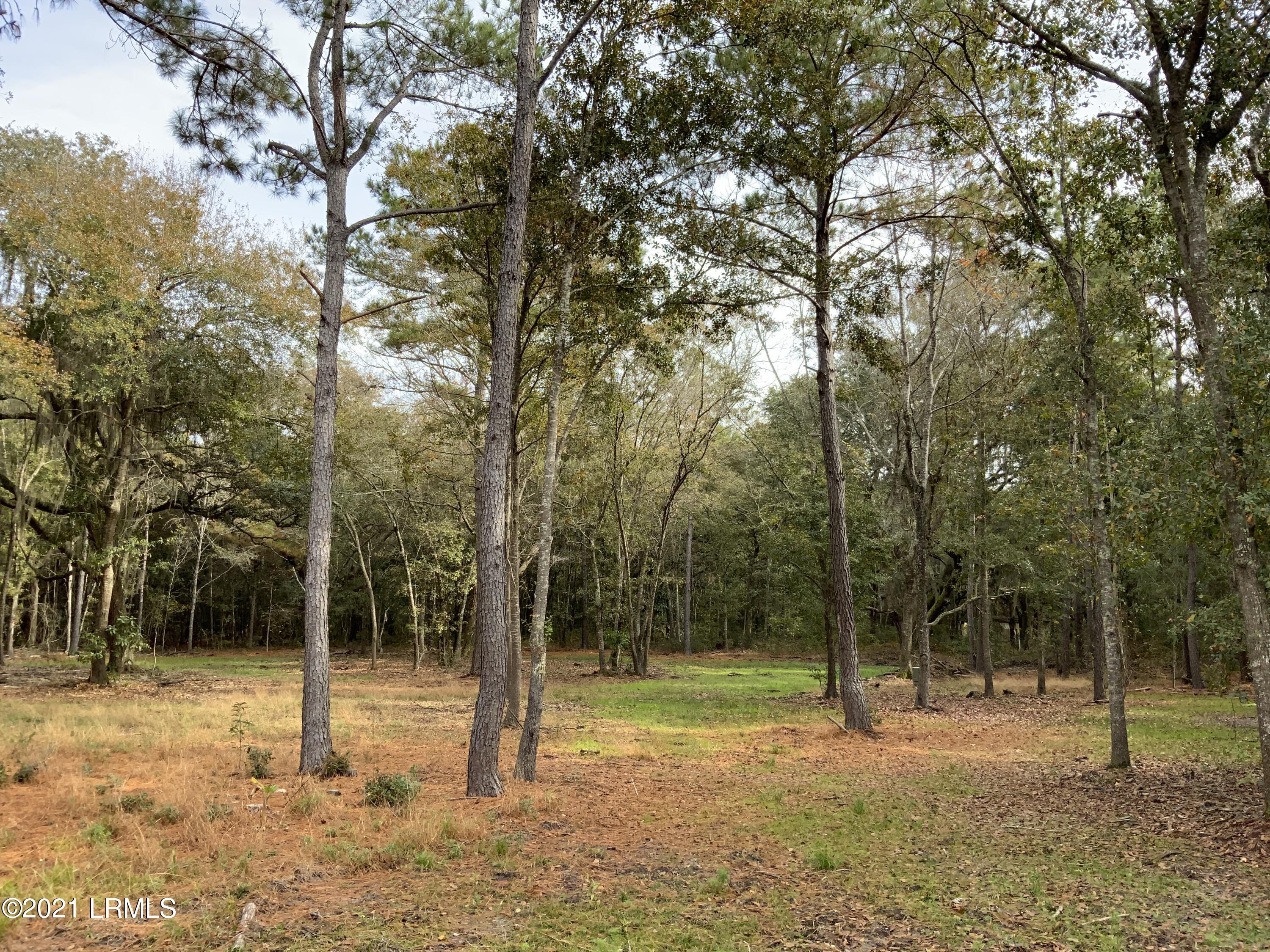 96 Coffin Point Road St. Helena Island, SC 29920 - Photo 2 of 12 3822E060-76B6-4C7C-95C9-18D90EF4BA67