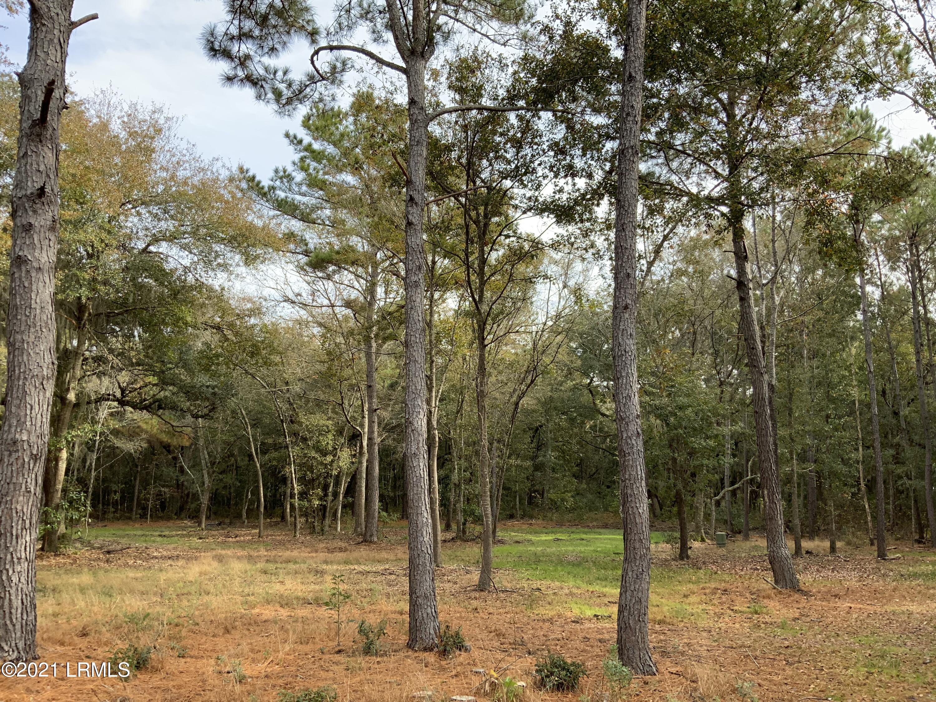 96 Coffin Point Road St. Helena Island, SC 29920 - Photo 3 of 12 CAF8D63D-FA23-4CF5-A3C0-9FA0EE1554A4