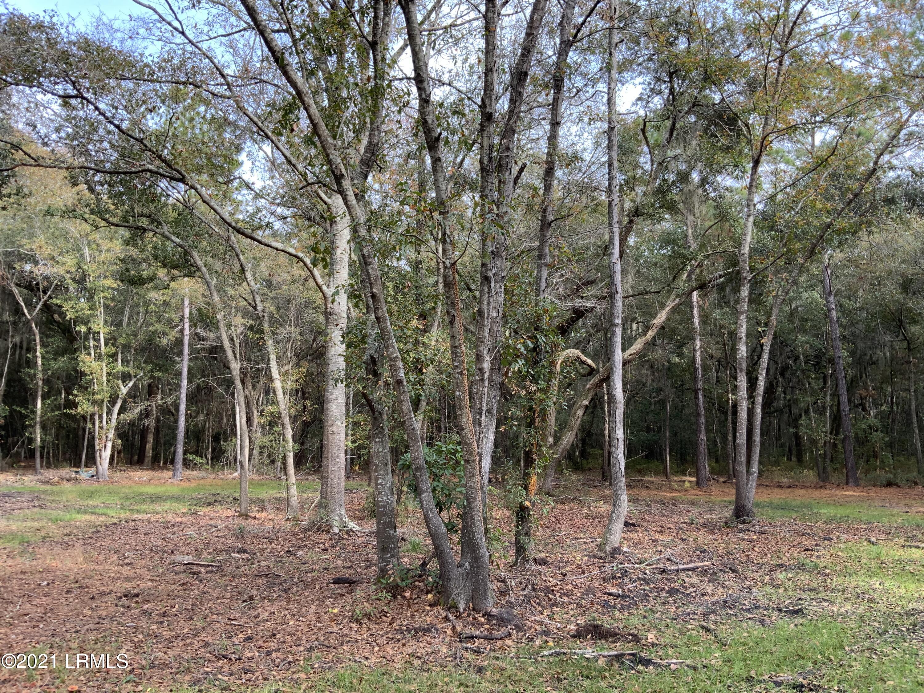 96 Coffin Point Road St. Helena Island, SC 29920 - Photo 7 of 12 901949F0-6A43-4F17-9FE2-5A823C52BCA9