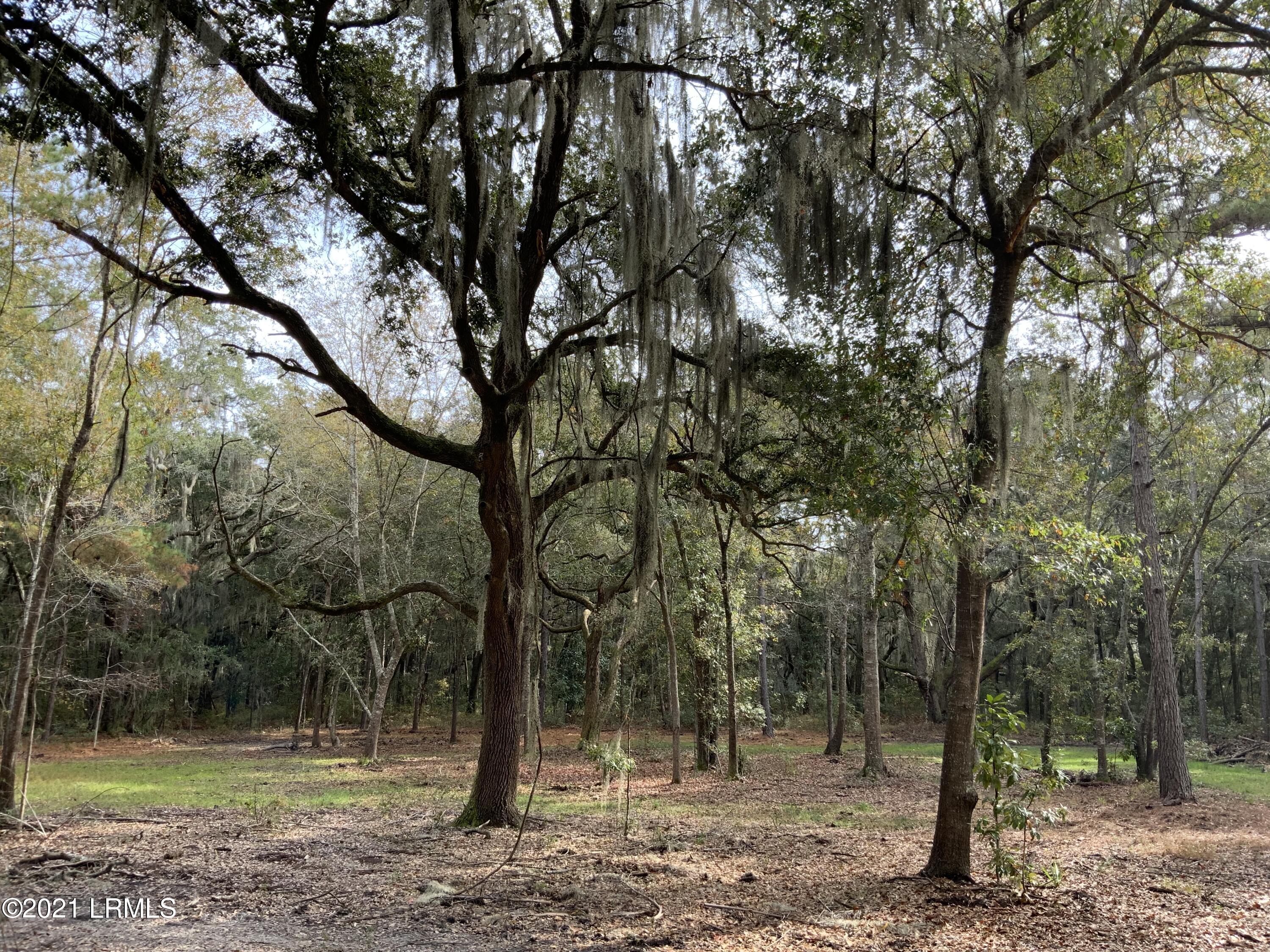 96 Coffin Point Road St. Helena Island, SC 29920 - Photo 10 of 12 E938C6DF-47B3-47B0-87CE-D829B0246B8C