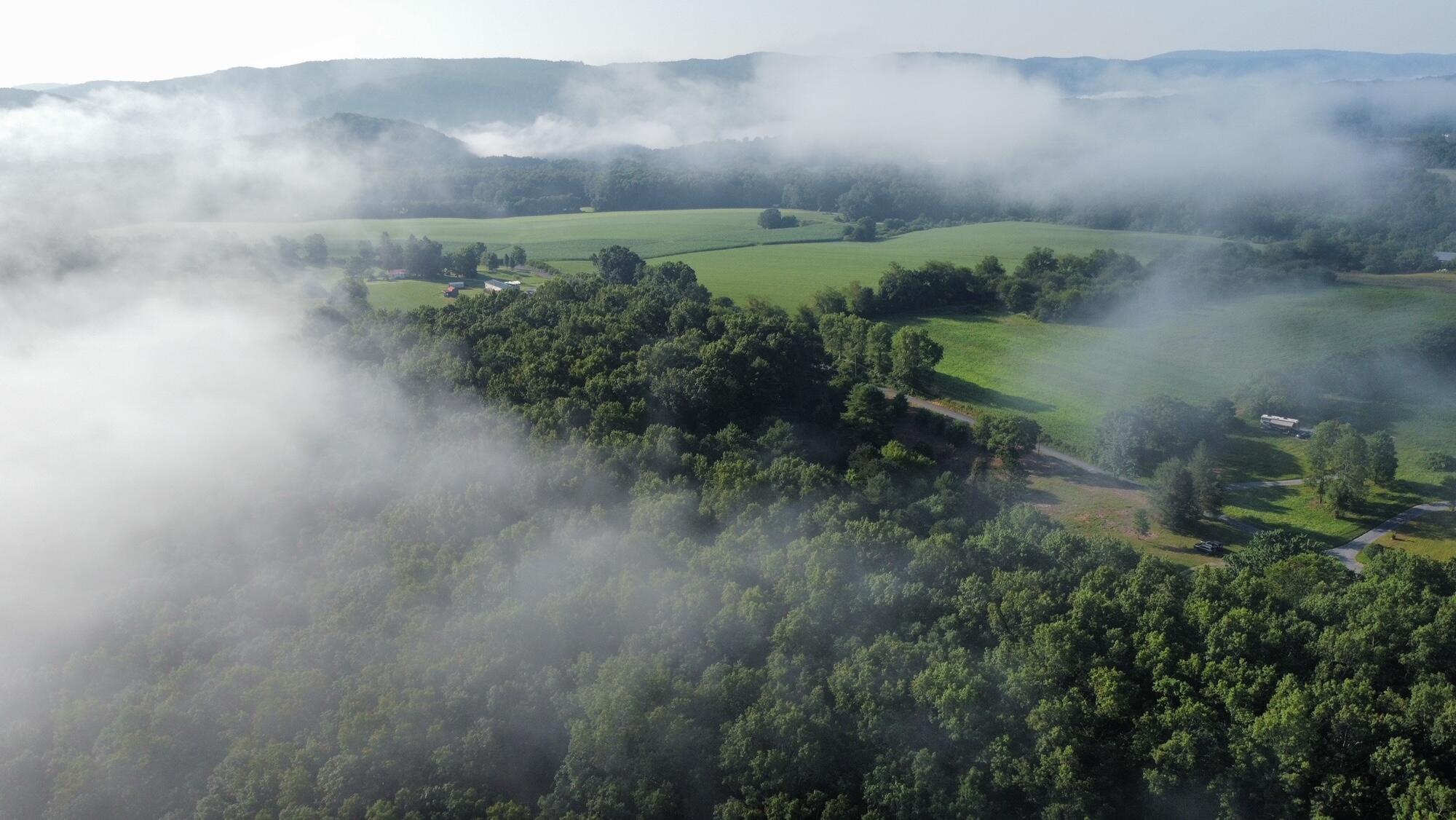 Coleman Cliff Road Frankford, WV 24938 - Photo 42 of 49 Gallery Image 42