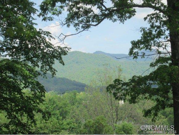 2 Charlie Riddle Lane Swannanoa, NC 28778 - Photo 5 of 24 Gallery Image 5