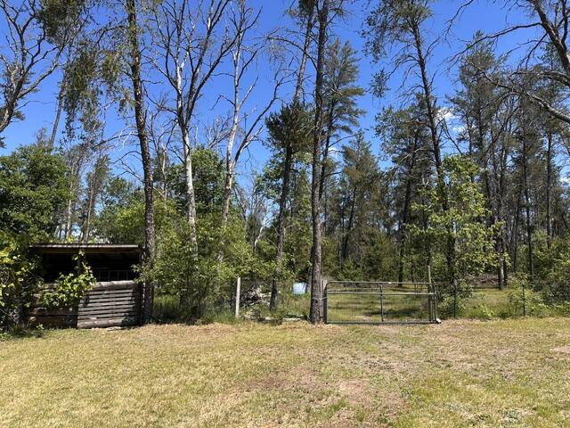 164 West 10 Mile Road Irons, MI 49644 - Photo 24 of 46