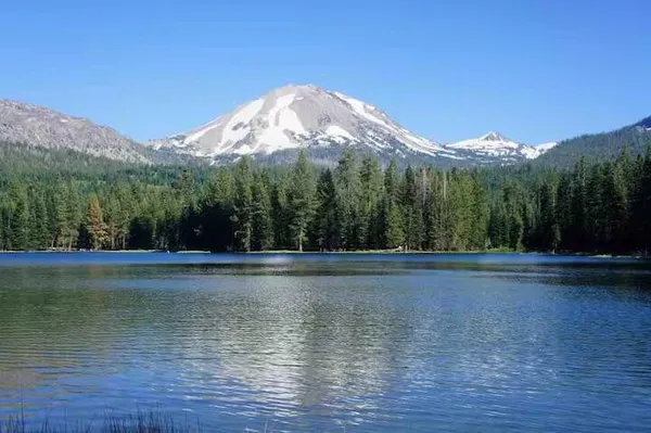 a view of a lake in the middle of a forest