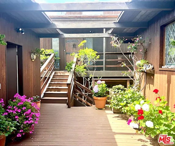 a potted plant sitting in front of a house