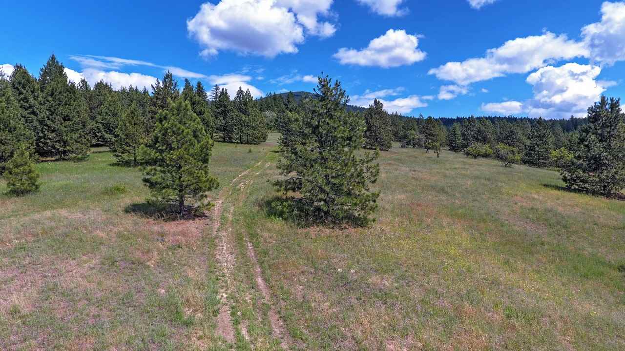 Nkn E East Tallman Road Chattaroy, WA 99003 - Photo 12 of 20