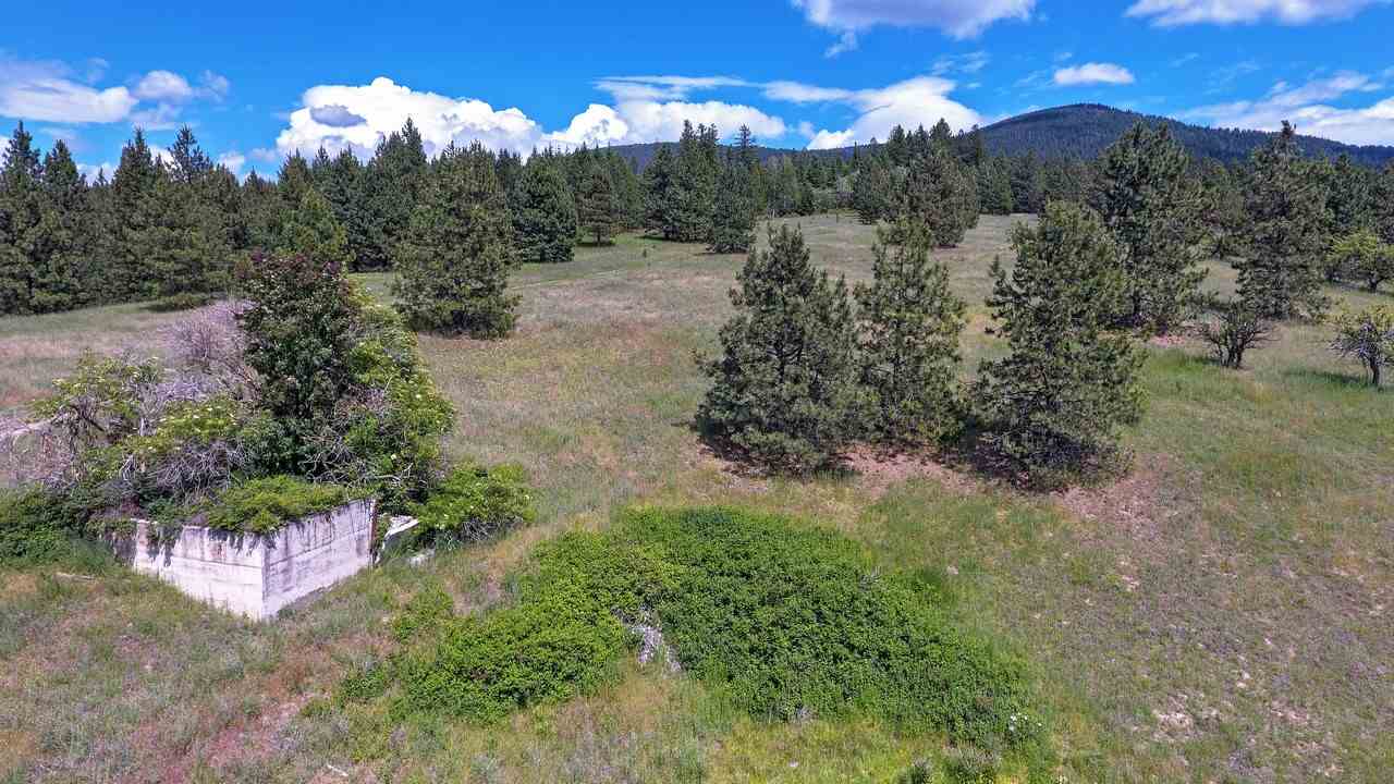 Nkn E East Tallman Road Chattaroy, WA 99003 - Photo 13 of 20