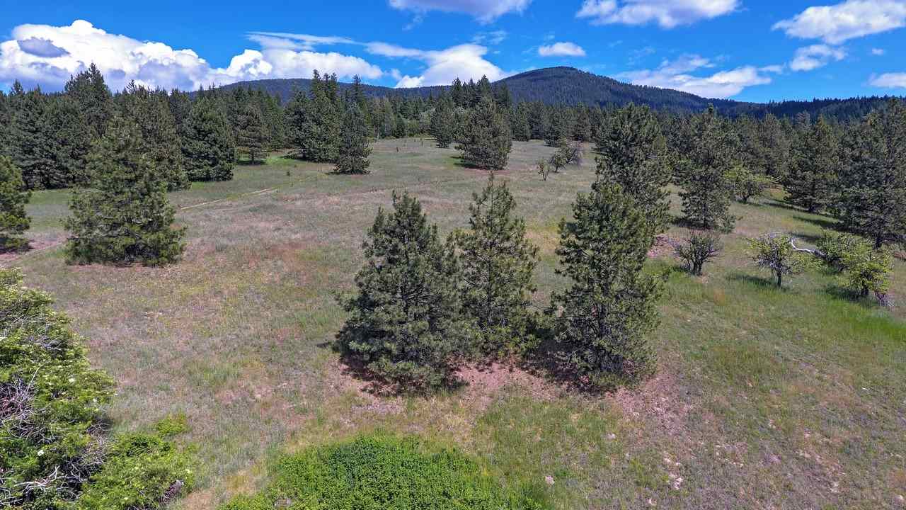 Nkn E East Tallman Road Chattaroy, WA 99003 - Photo 14 of 20