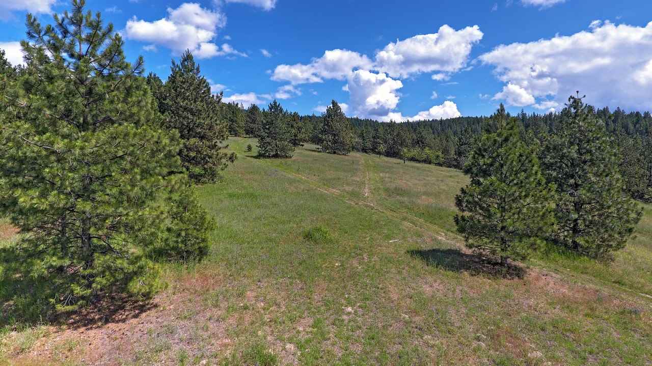Nkn E East Tallman Road Chattaroy, WA 99003 - Photo 16 of 20