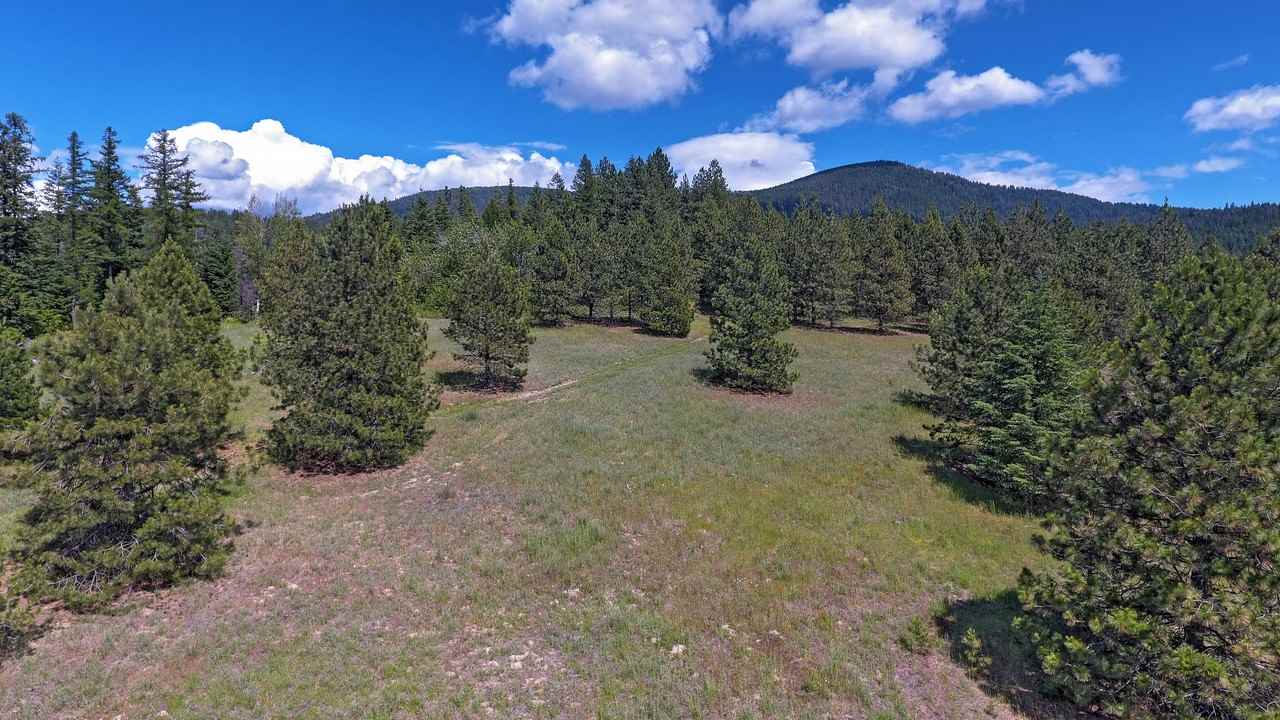 Nkn E East Tallman Road Chattaroy, WA 99003 - Photo 19 of 20