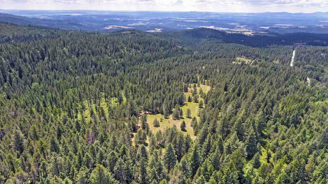 Nkn E East Tallman Road Chattaroy, WA 99003 - Photo 4 of 20