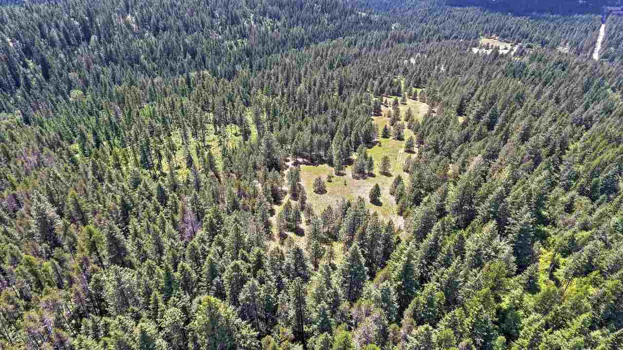 Nkn E East Tallman Road Chattaroy, WA 99003 - Photo 5 of 20