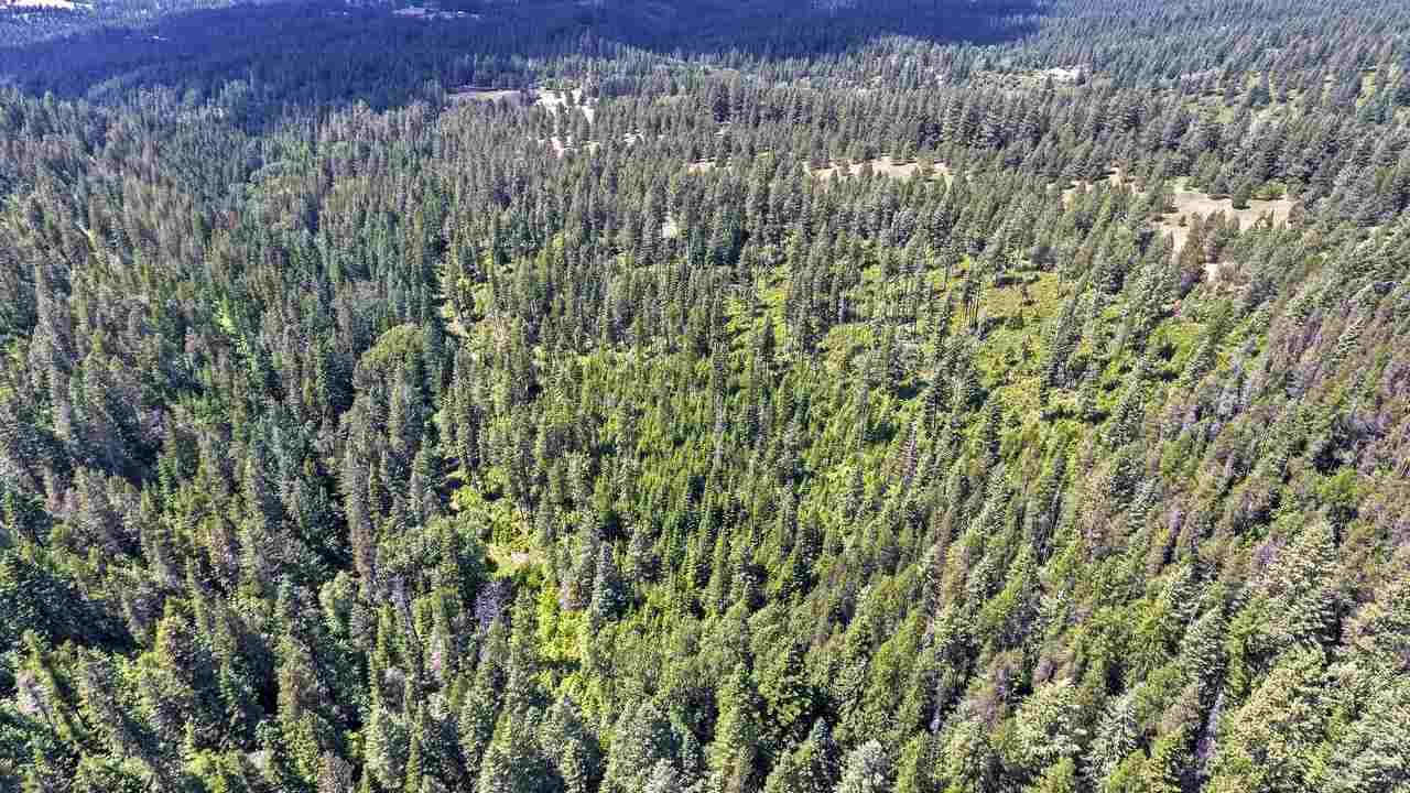 Nkn E East Tallman Road Chattaroy, WA 99003 - Photo 6 of 20