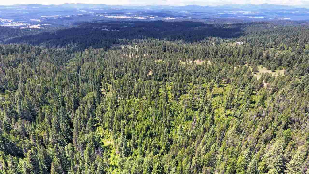 Nkn E East Tallman Road Chattaroy, WA 99003 - Photo 7 of 20
