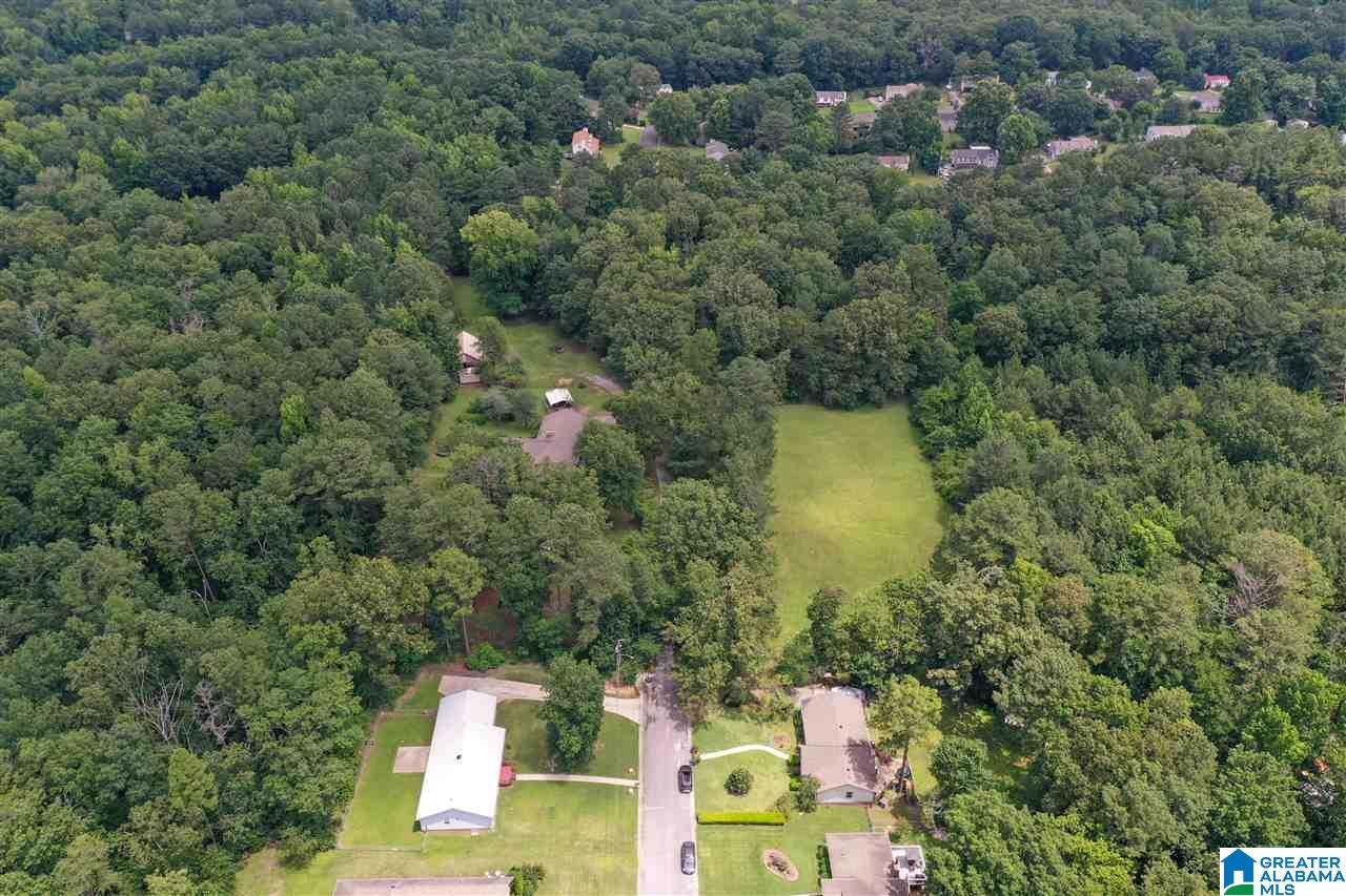 137 Old Spanish Trail Alabaster, AL 35007 - Photo 46 of 50