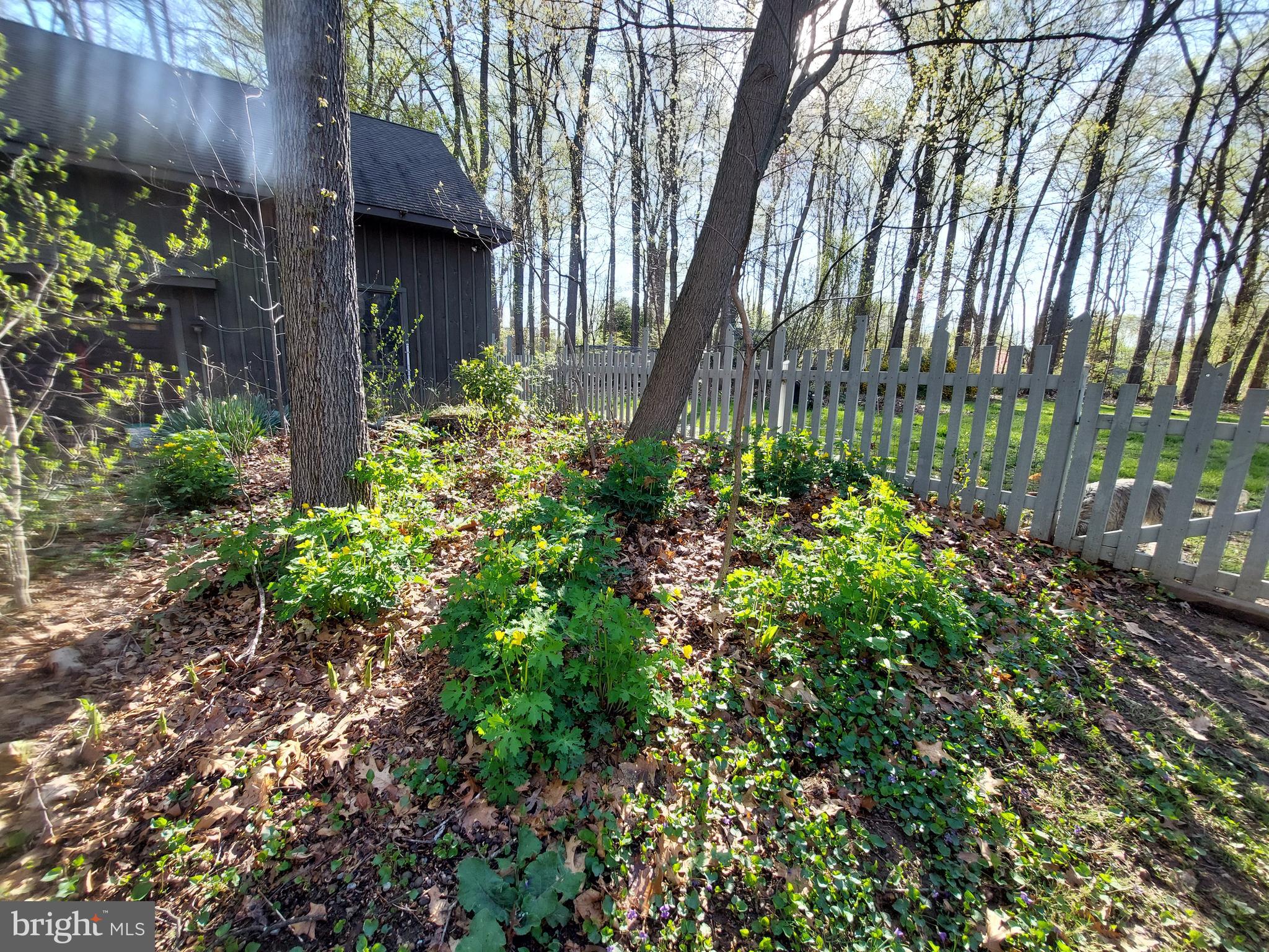 1076 Kings Row Road Oxford, PA 19363 - Photo 78 of 85 Spring view