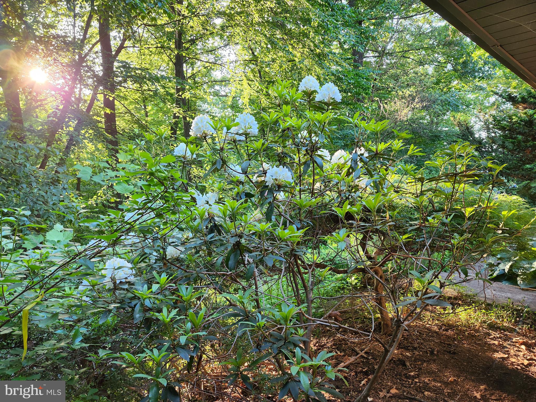 1076 Kings Row Road Oxford, PA 19363 - Photo 80 of 85 Seasonal flowering plants