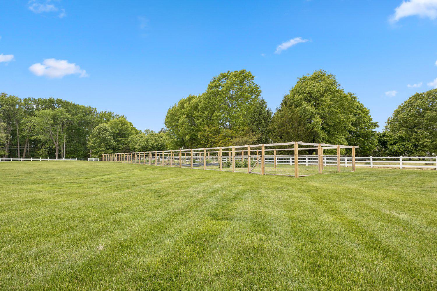 313 Wye Road Queenstown, MD 21658 - Photo 117 of 132 Fenced in garden area under a clear sky.