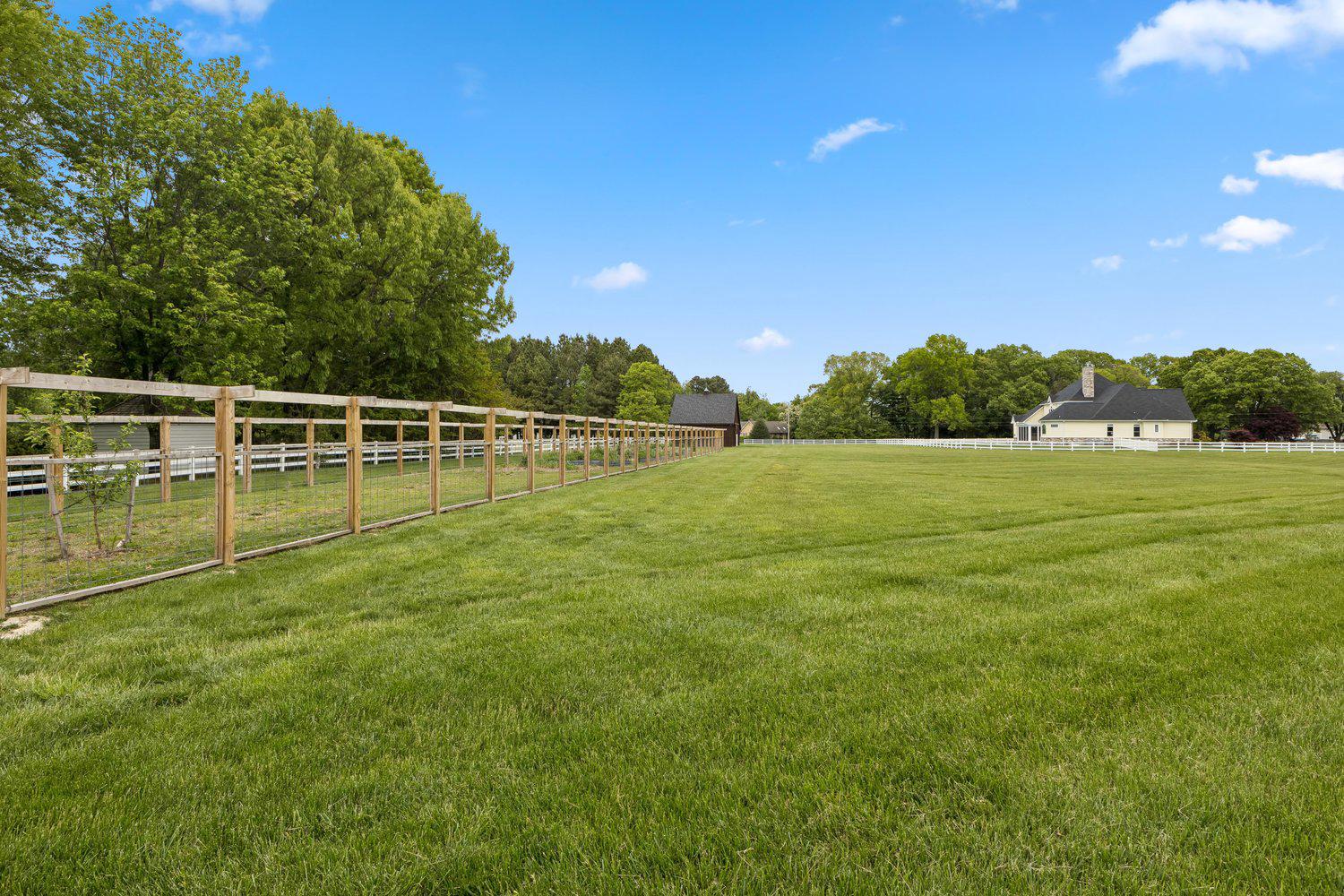 313 Wye Road Queenstown, MD 21658 - Photo 118 of 132 Large garden area under a clear blue sky.