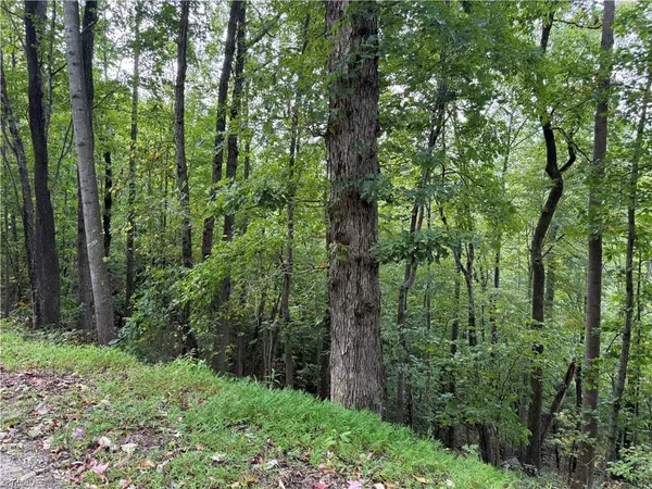 $17,000 | 0 Ridge Run Road, Unit LOT 84, Boomer, NC 28606