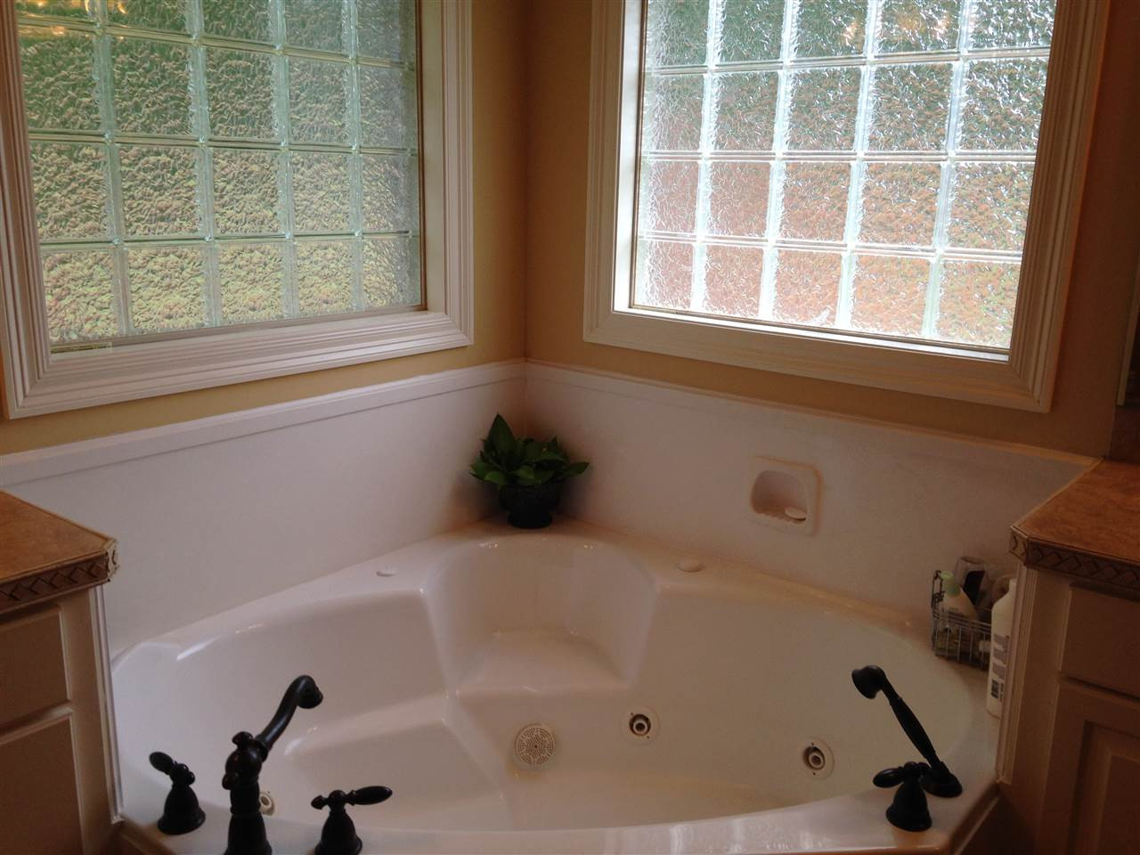 219 Terrapin Creek Road Brandon, MS 39042 - Photo 24 of 49 Photo 24