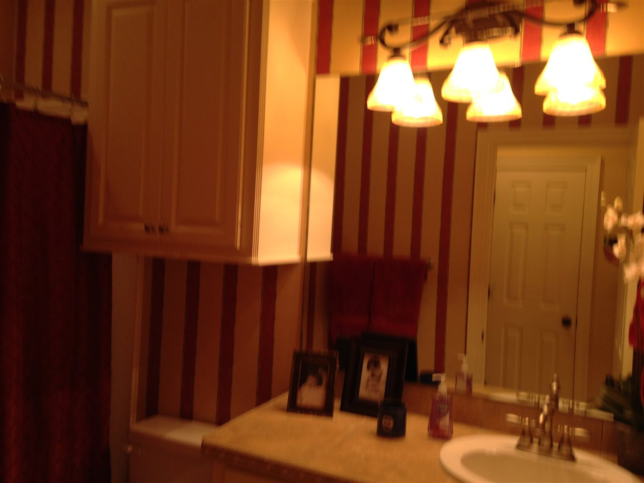 219 Terrapin Creek Road Brandon, MS 39042 - Photo 41 of 49 Photo 41