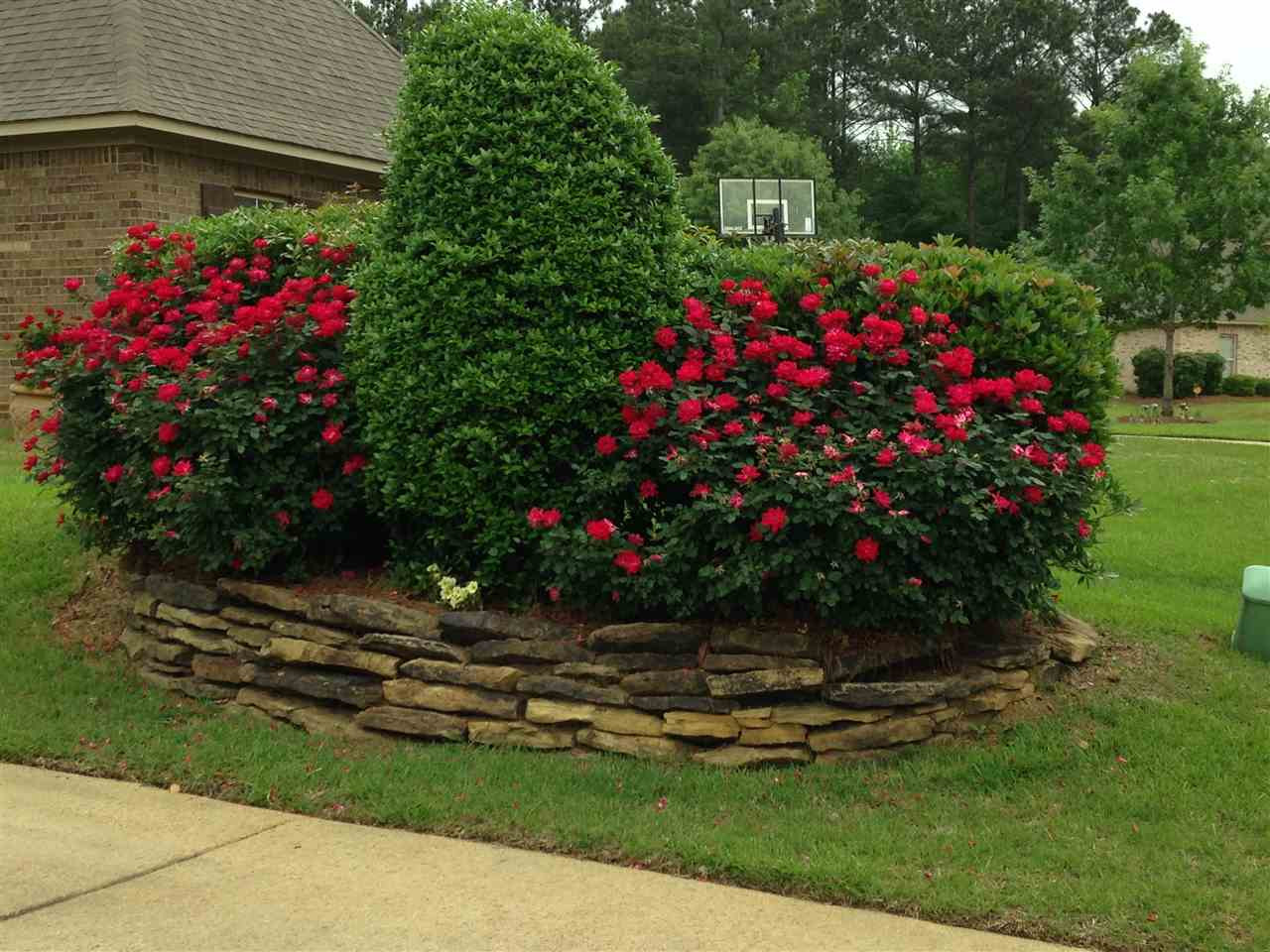 219 Terrapin Creek Road Brandon, MS 39042 - Photo 49 of 49 Photo 49