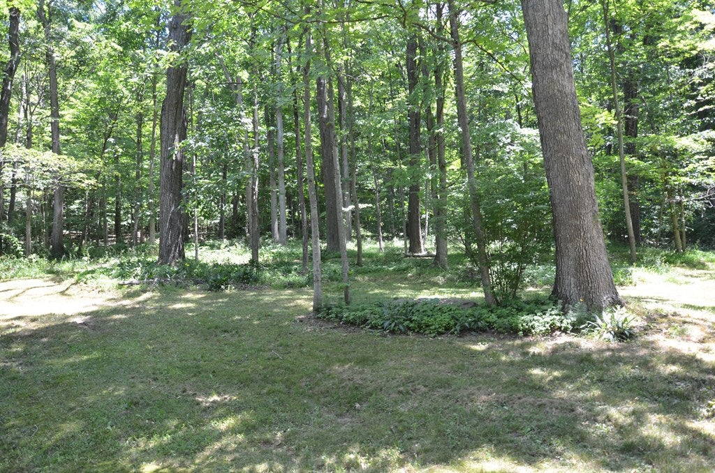 2115 Risbon Road Saxton, PA 16678 - Photo 8 of 20 Gallery Image 8