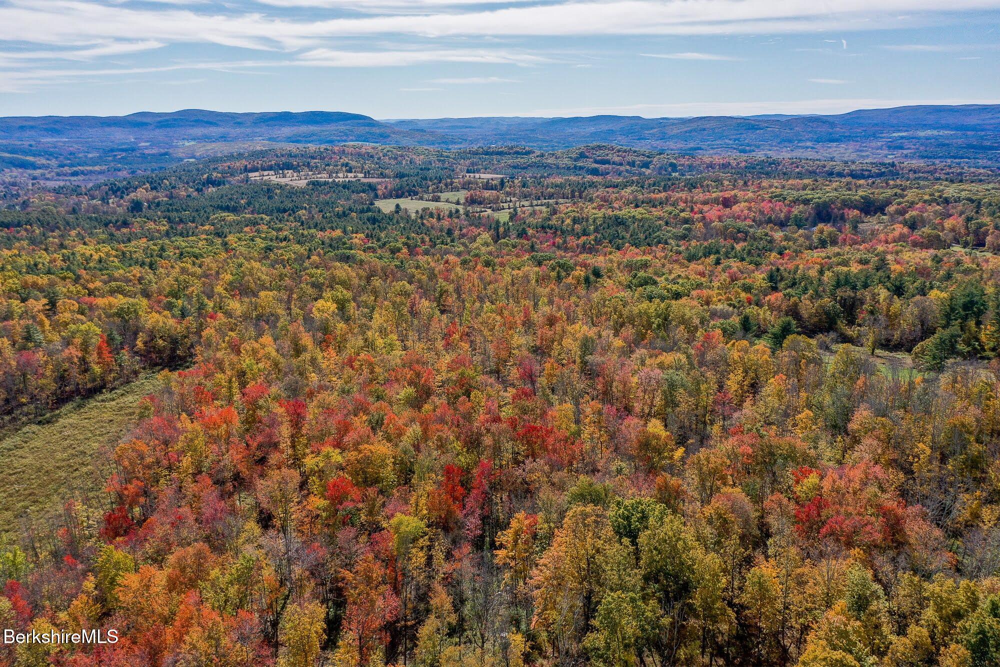 a view of a city with mountain