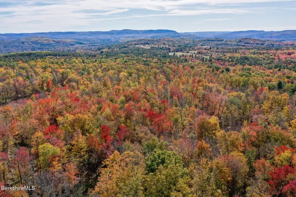 a view of a lush green field