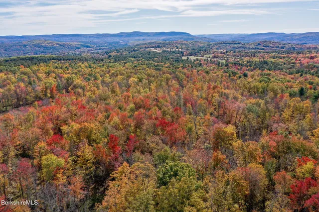a view of a lush green field