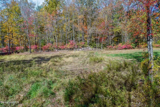 a view of a yard with plants and trees