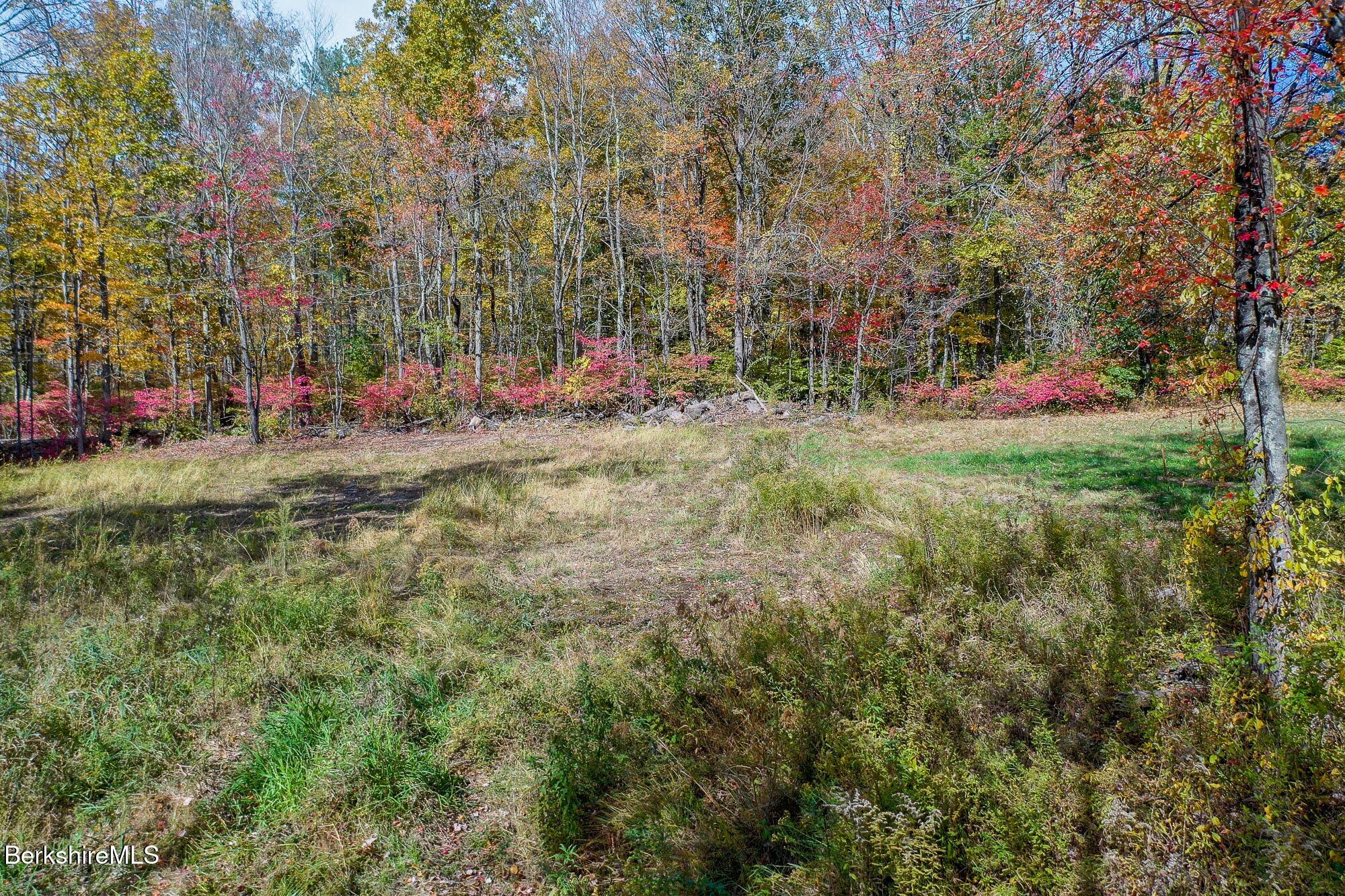 0 Sisson Hill Road Mill River, MA 01244 - Photo 4 of 6