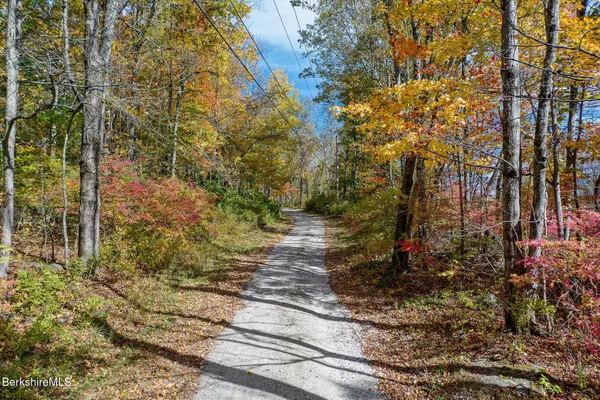 a view of a city with mountain