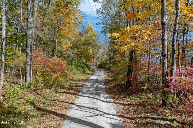 a view of a city with mountain