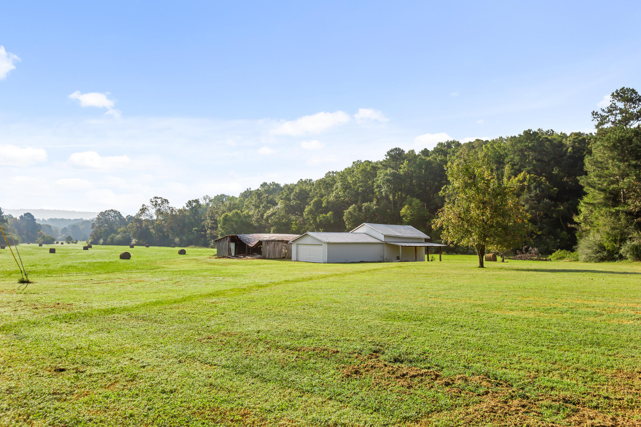63 George Lane Ringgold, GA 30736 - Photo 19 of 27 George (5 of 29)