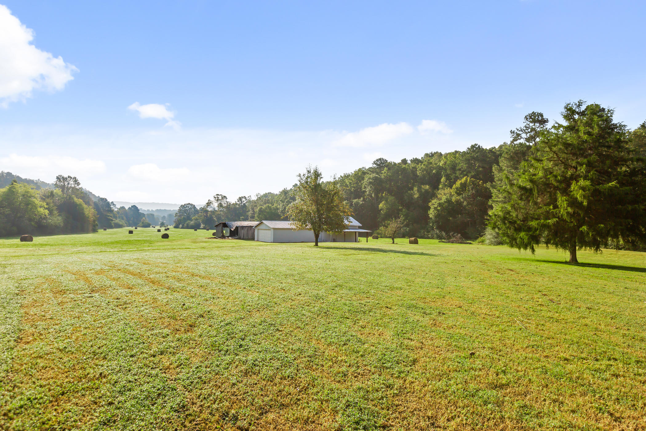 63 George Lane Ringgold, GA 30736 - Photo 23 of 27 George (6 of 29)